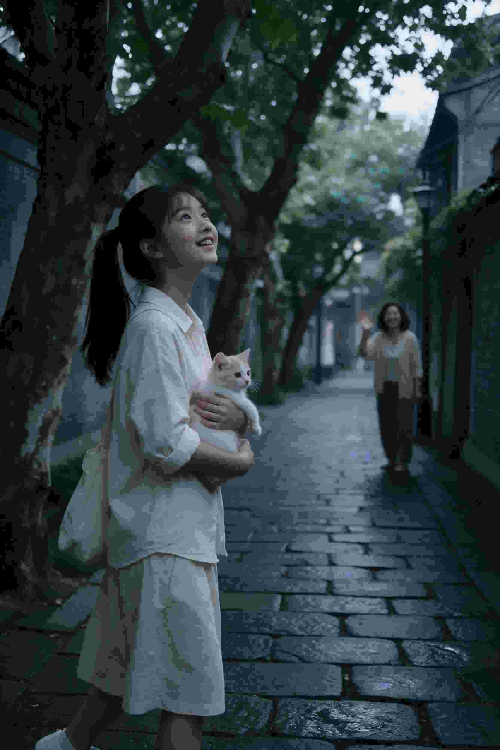 燃烧意志